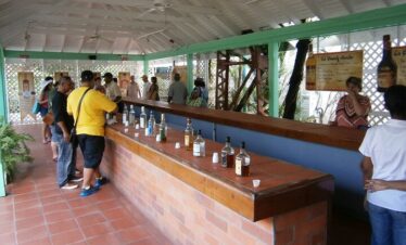 Saint Lucia Agrotourism Tour Farm Experience And Rum Tasting