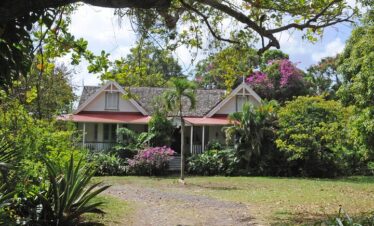 Balembouche Estate Sugar Mill And Beach Tour