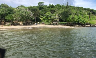 East Coast Private Island Day Trip Kayak & Picnic Experience